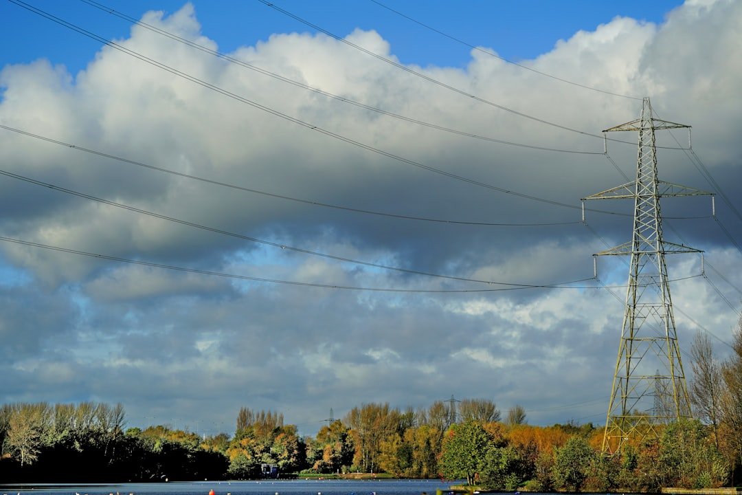 power lines over trees