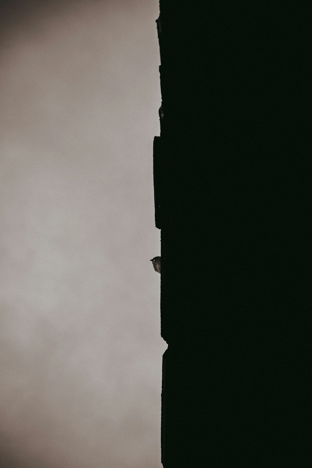 a black and white photo of a clock tower