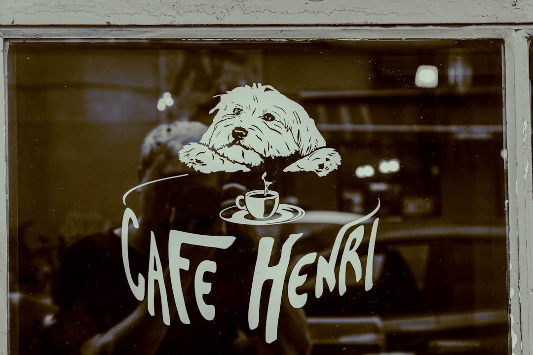 a dog sitting on top of a cup of coffee