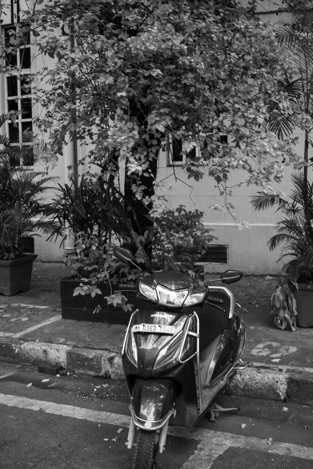 A scooter is parked in front of some foliage.