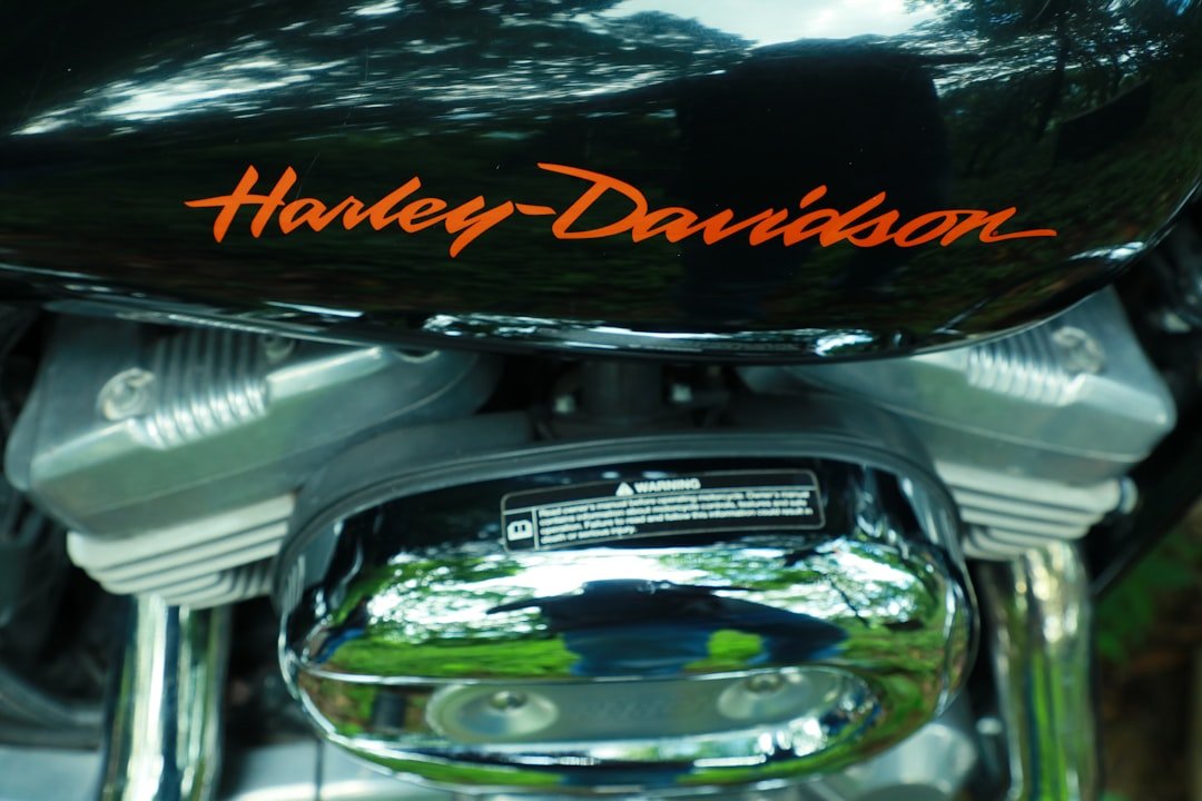 black Harley-Davidso motorcyle