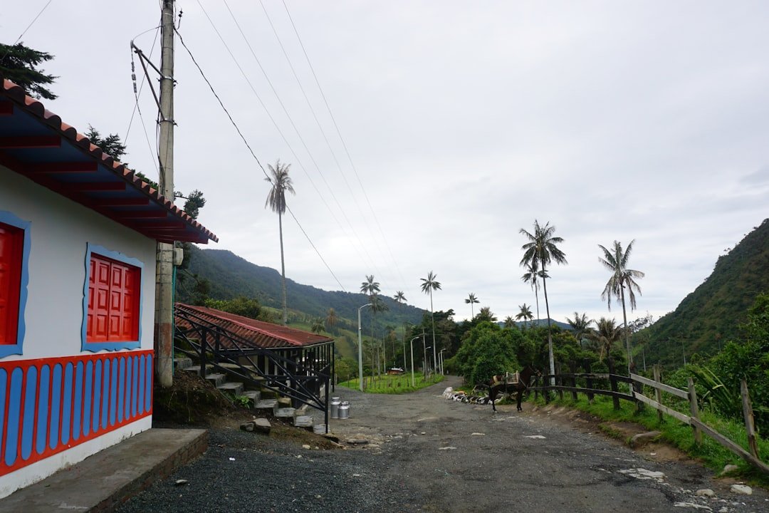 a dirt road with a blue and white building and palm trees