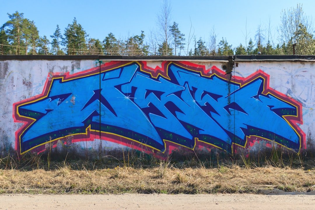 blue red and black graffiti art on wall