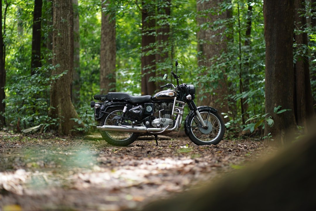 a motorcycle parked in the woods