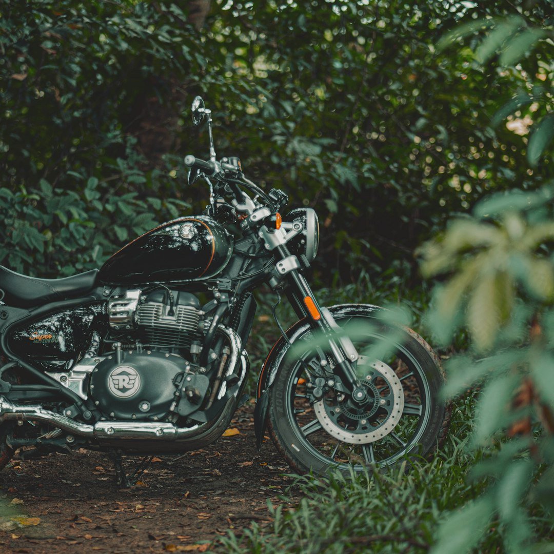A motorcycle parked in the middle of a forest