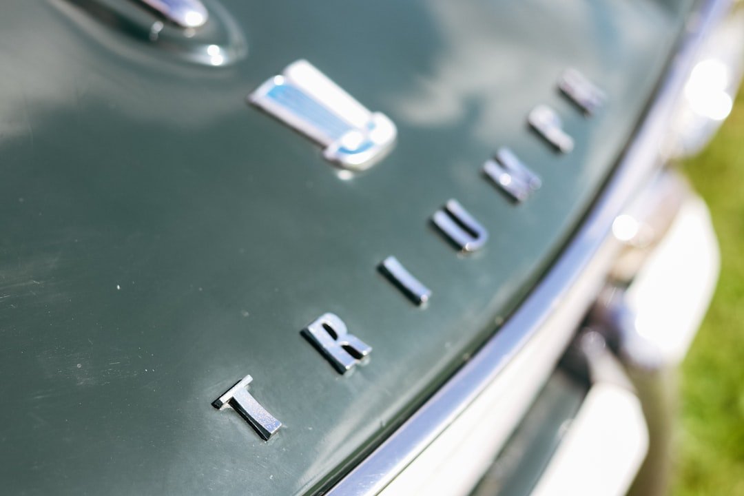 a close up of the letters on a car